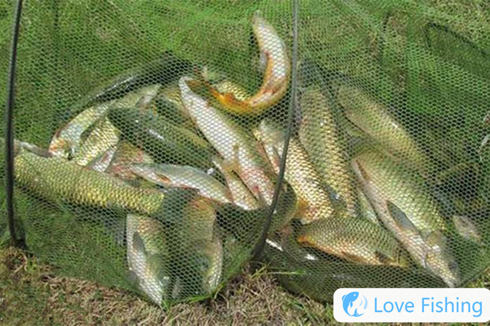 Fishing Tips: The Characteristics And Classic Fishing Method