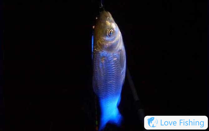 What Does Night Fishing Mean?