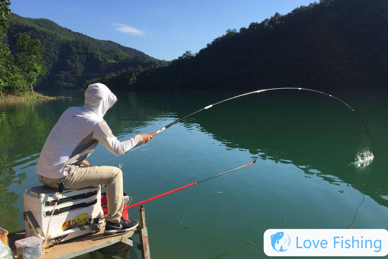 Fishing skills complete wild fishing__Practical wild fishing methods