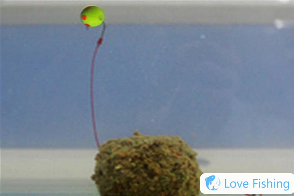 _Fish protection video