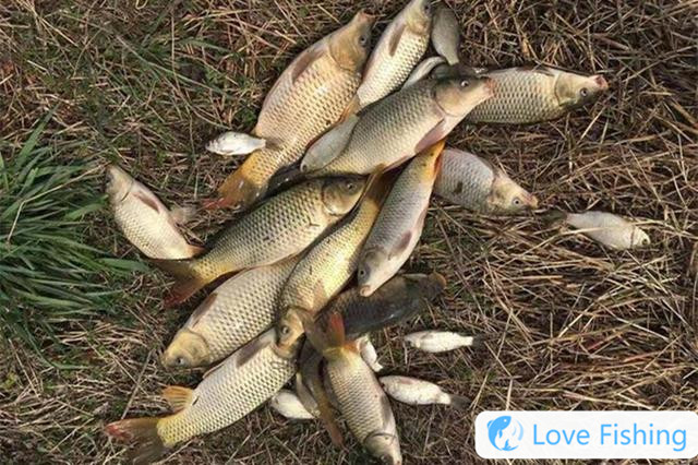 Spring Wild Fishing Skills: 4 Special Fishing Methods To Tak