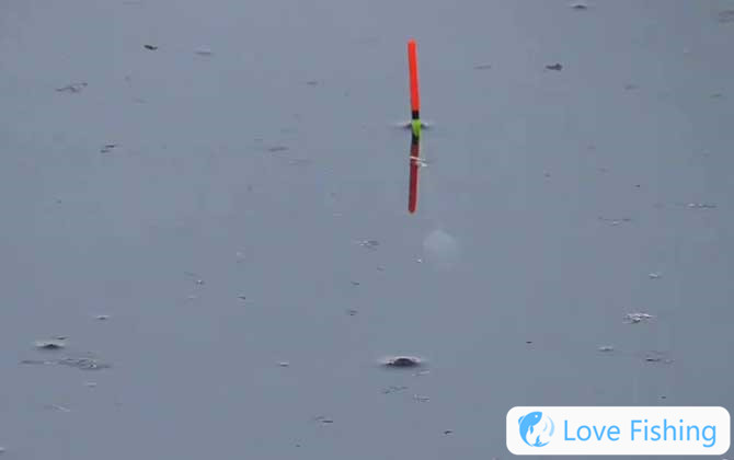 Fishing At The Bottom Or Floating In The Cold Weath